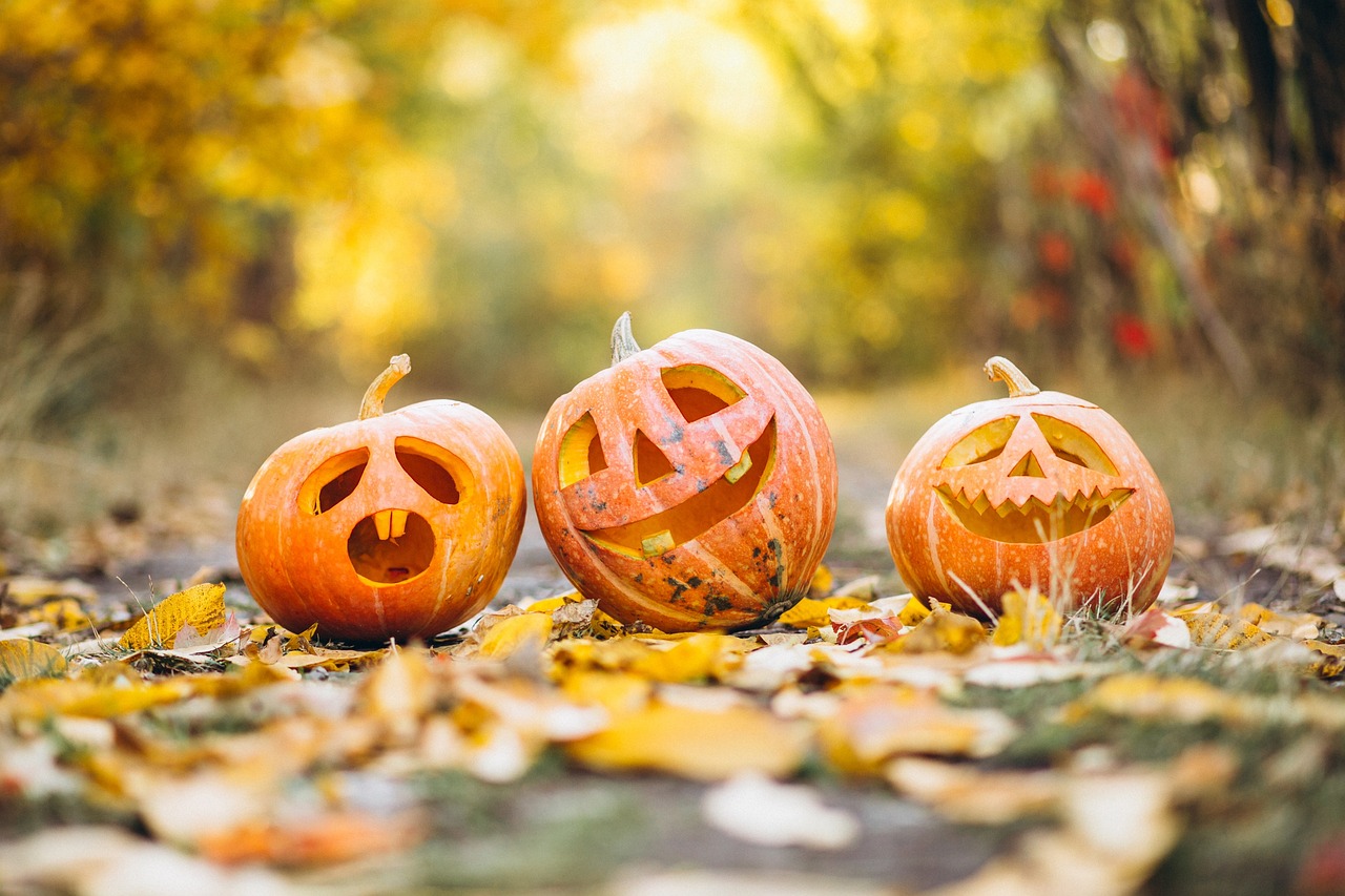 three carved pumpkins sitting amid fallen leaves and fall background