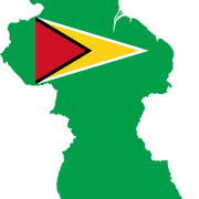 image of outline of Guyana with country's flag on top