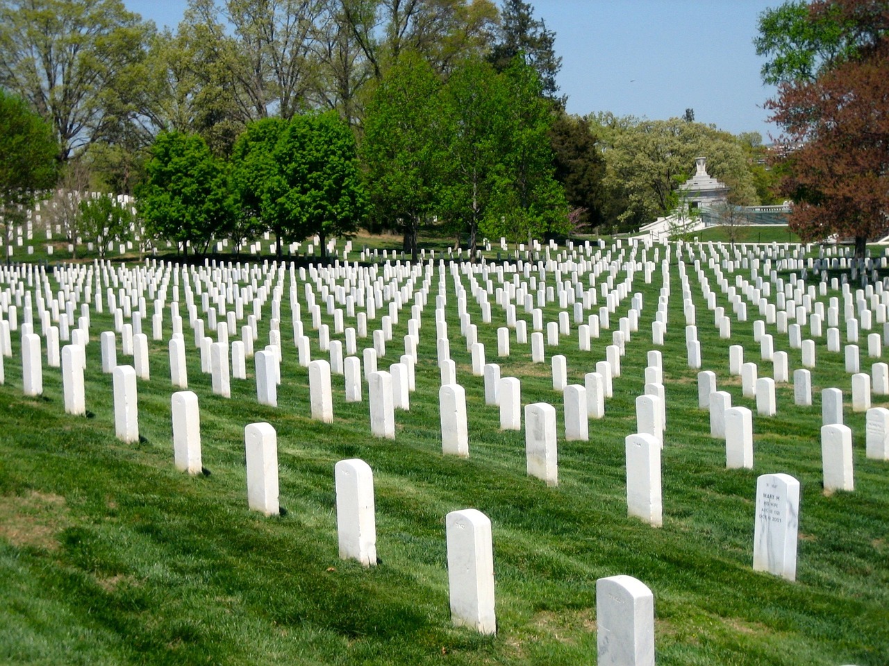 image of headstones in Arlington Cemetery; Memorial Day