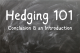 blackboard with Hedging 101 - Conclusion & an Introduction written on it