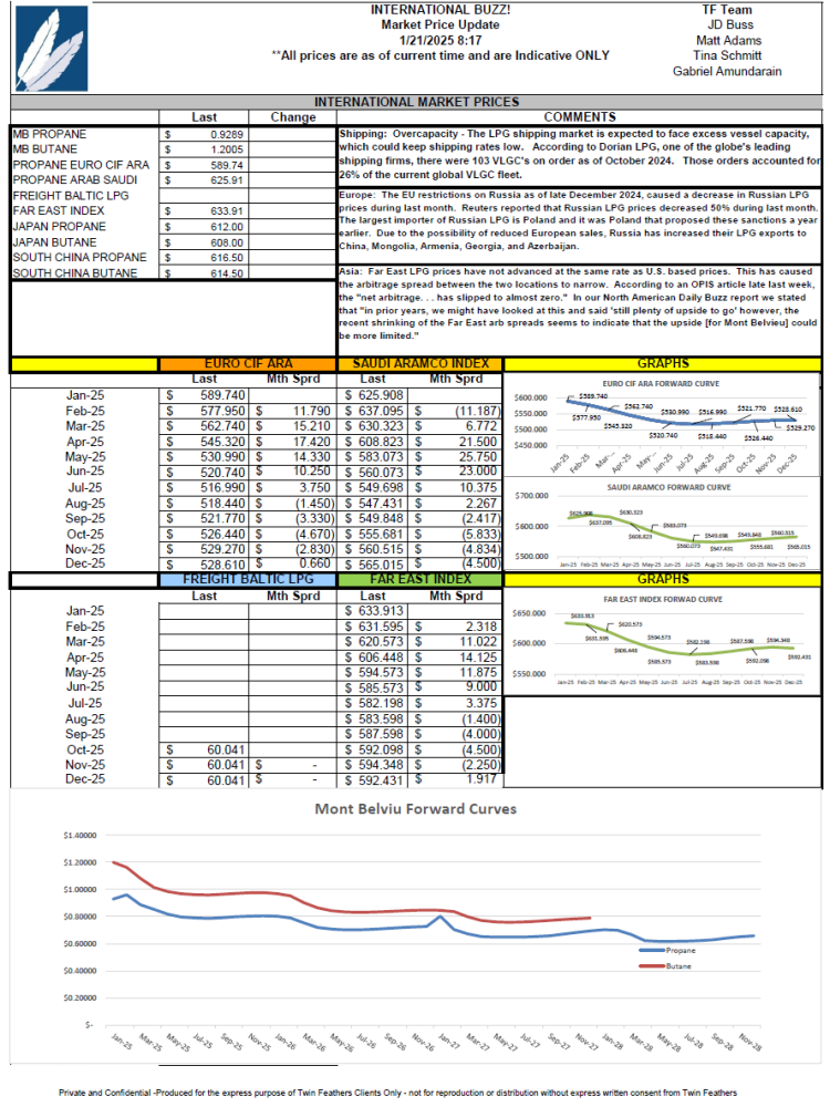 International Buzz! screenshot of report